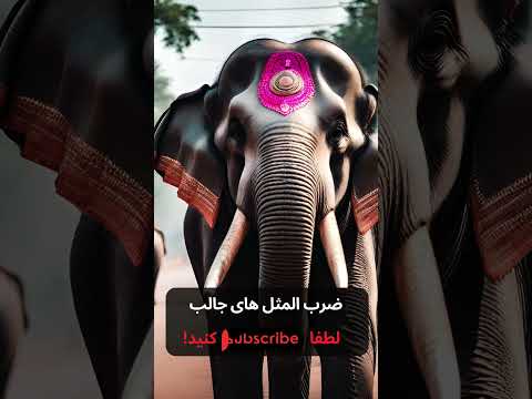 معنی ضرب المثل فیلش یاد هندوستان کرده