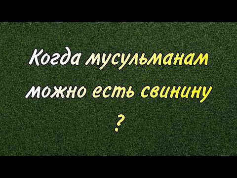 Когда мусульманам можно есть свинину?