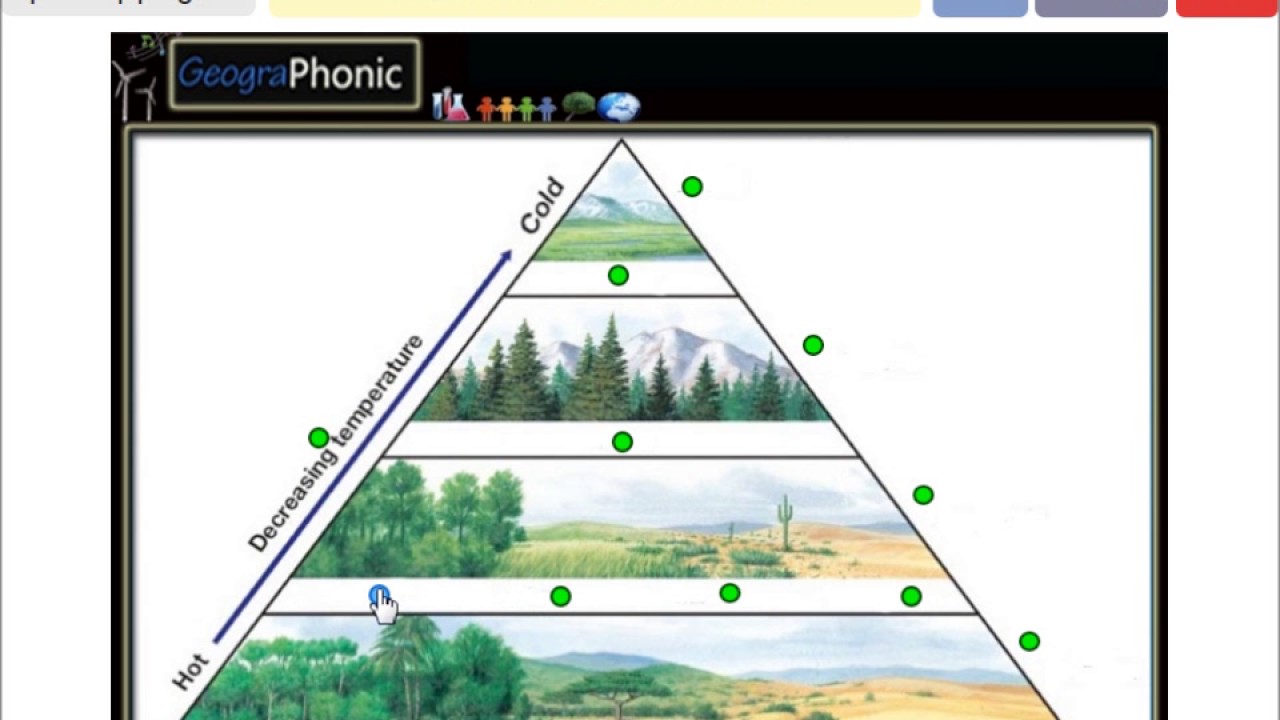 Biome Pyramid