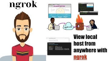 How to access localhost anywhere with ngrok | programmersmode