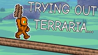 i played terraria for the first time...