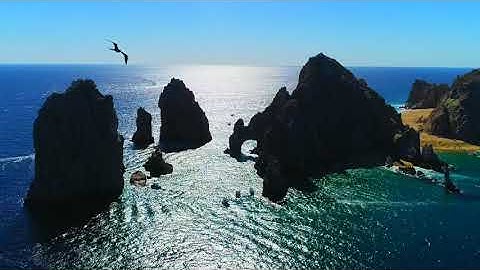 World Nomads 2024  Scholarship Video