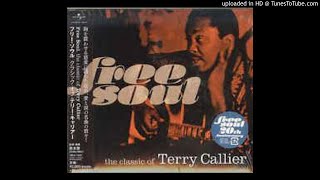 Terry Callier - No more blues