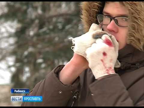 В Рыбинске легковушка протаранила машину "скорой помощи"