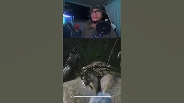 HOLD ON #wukongblackmyth #wukong #nimbus #staff #eldenring #monkey #goku #myths