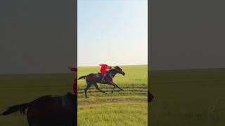 Horse Faster Than the Wind