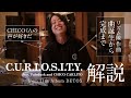 C.U.R.I.O.S.I.T.Y. (ONE OK ROCK) - 解説