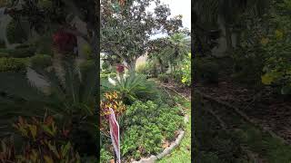 3BR 2BA Preserve Views | Melbourne FL Home Tour | Misty Creek