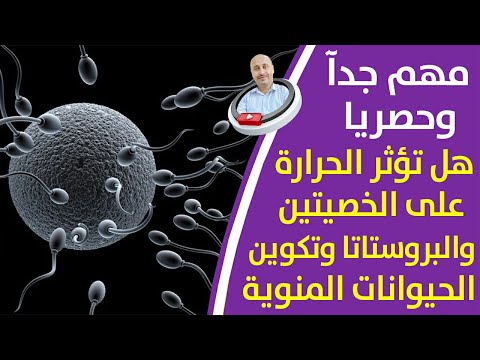 علاج سخونة وحرقان منطقة الخصيتين وتأثير الحرارة على الخصيتين والحيوانات المنوية والبروستاتا
