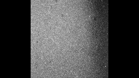 Tiny "hairy" materials grow at the microscale