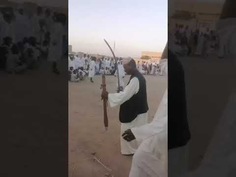 حفله الشاعديناب زواج الاخ عمار حسين
