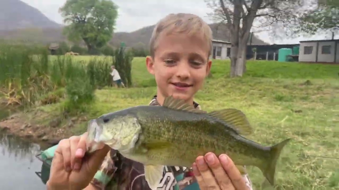 Smashing the bass (Big bass)