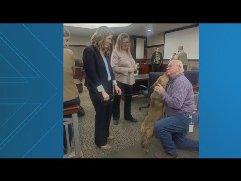 Man sentenced 475 years for dog fighting in Paulding County - YouTube