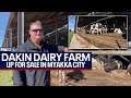 Dakin Dairy Farm up for sale in Florida