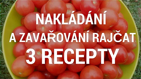 Jak sbíráme rajčata?