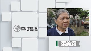 【草根菩提】20190918 - 九二一20年 - 相揪做好事