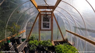Diy Pvc Greenhouse In A Day   Stepbystep Easy Low Cost Build Instructions