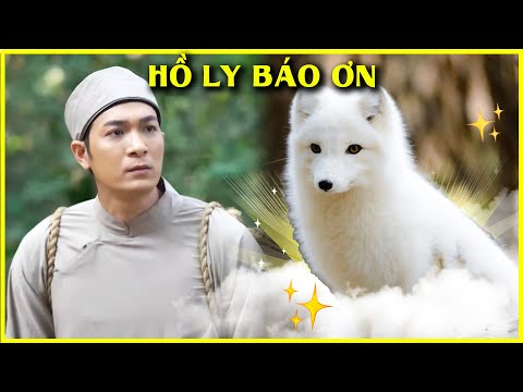 HỒ LY BÁO ƠN trọn bộ🦄🌈CỔ TÍCH FULL HD 2022✨Cổ Tích Việt Nam Gối Đầu Giường Mới Nhất THVL mới 2023