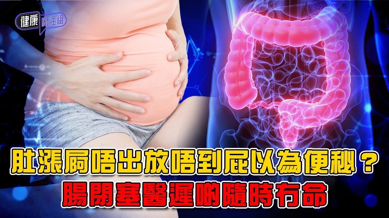 肚漲屙唔出放唔到屁以為便秘？ 腸閉塞醫遲啲隨時冇命 ｜ 健康關注組 ｜ EP475 ｜ 腸閉塞 ｜ 腹膜炎 ｜ 腸穿洞 ｜腸壞死 ｜腸癌 ｜ 黃芳雯 ｜ 吳雲甫 ｜ HOY TV 77台