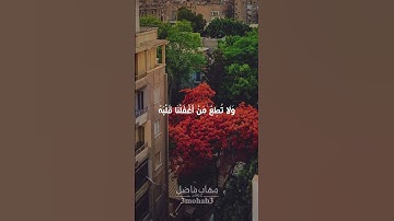 سورة الكهف | أية ٢٨ | القارئ محمود خليل الحصري #quran #3mohab3