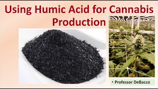 Using Humic Acid for Cannabis Production screenshot 3