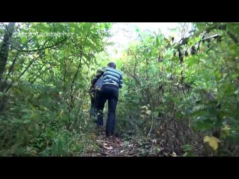 მცოცავი ოკუპაცია