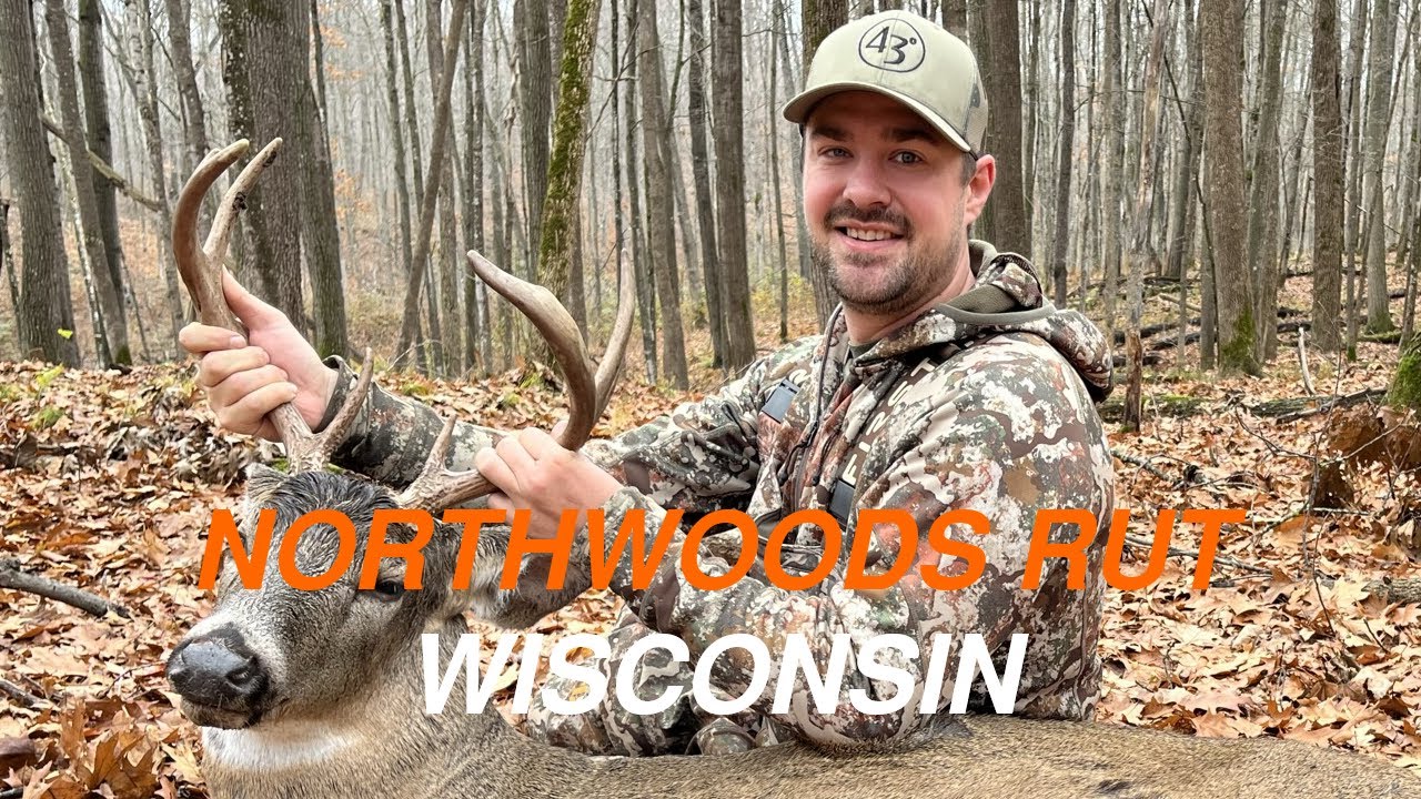 Hunting the Rut in Wisconsin's Northwoods | 2023 Wisconsin Archery Buck ...