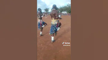 Mayikusai Ft Limbu Luchagula Show 2025 