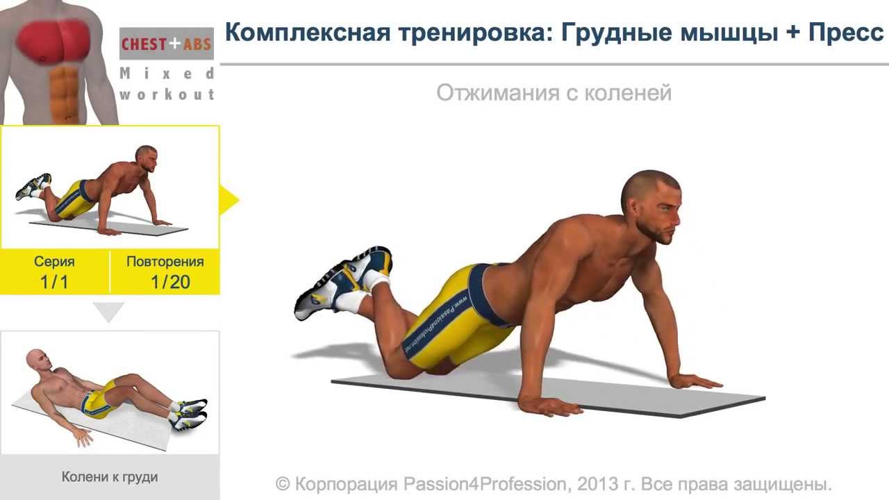 ���� + ���� ������: ����.