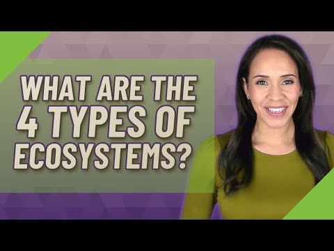 What are the 4 types of ecosystems?