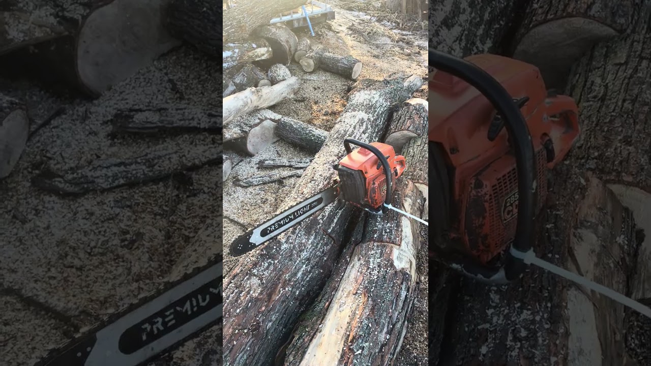 Best sounding chainsaw Husqvarna 285CD