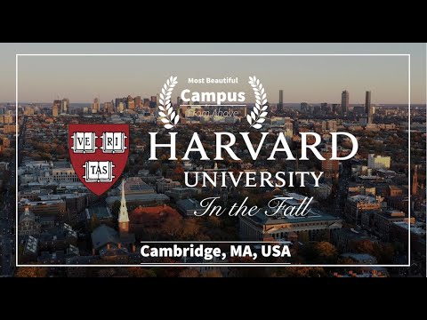 USA Harvard University The Most Beautiful Campus In The Fall L 4K Drone