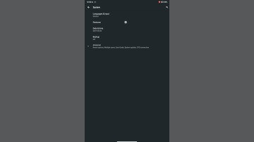 how to turn on double tap to wake up in realms tab