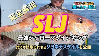 【SLJ スーパーライトジギング】最強スーパーライトマダイジギング ソコネチスタイルを完全解説