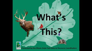 New Seasonal Series from your State Park Naturalists!  “What’s This?”