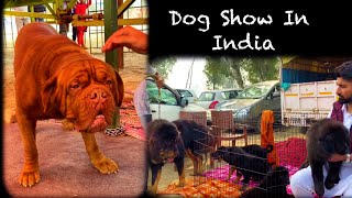 Don’t Buy Or Sell Underage Puppies | Dog Market In India | Dog Show Outer Puppy Market | Scoobers