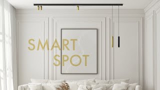 DENKIRS SMART SPOT