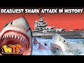 USS Indianapolis: A Tale of Survival