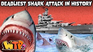 Deadliest Shark Attack in History | WHAT THE PAST