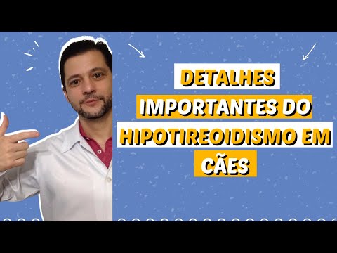 Vídeo: Hipertireoidismo Em Cães