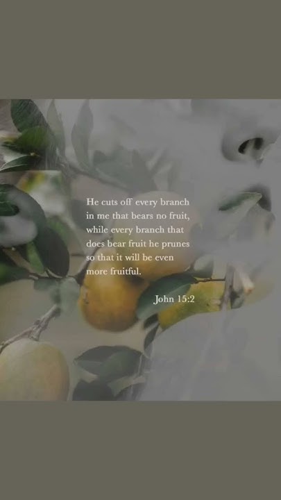 John Chapter 15 Verse 2 YouTube john-chapter-15-verse-2-youtube