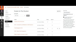 Canvas Assignments & Grades