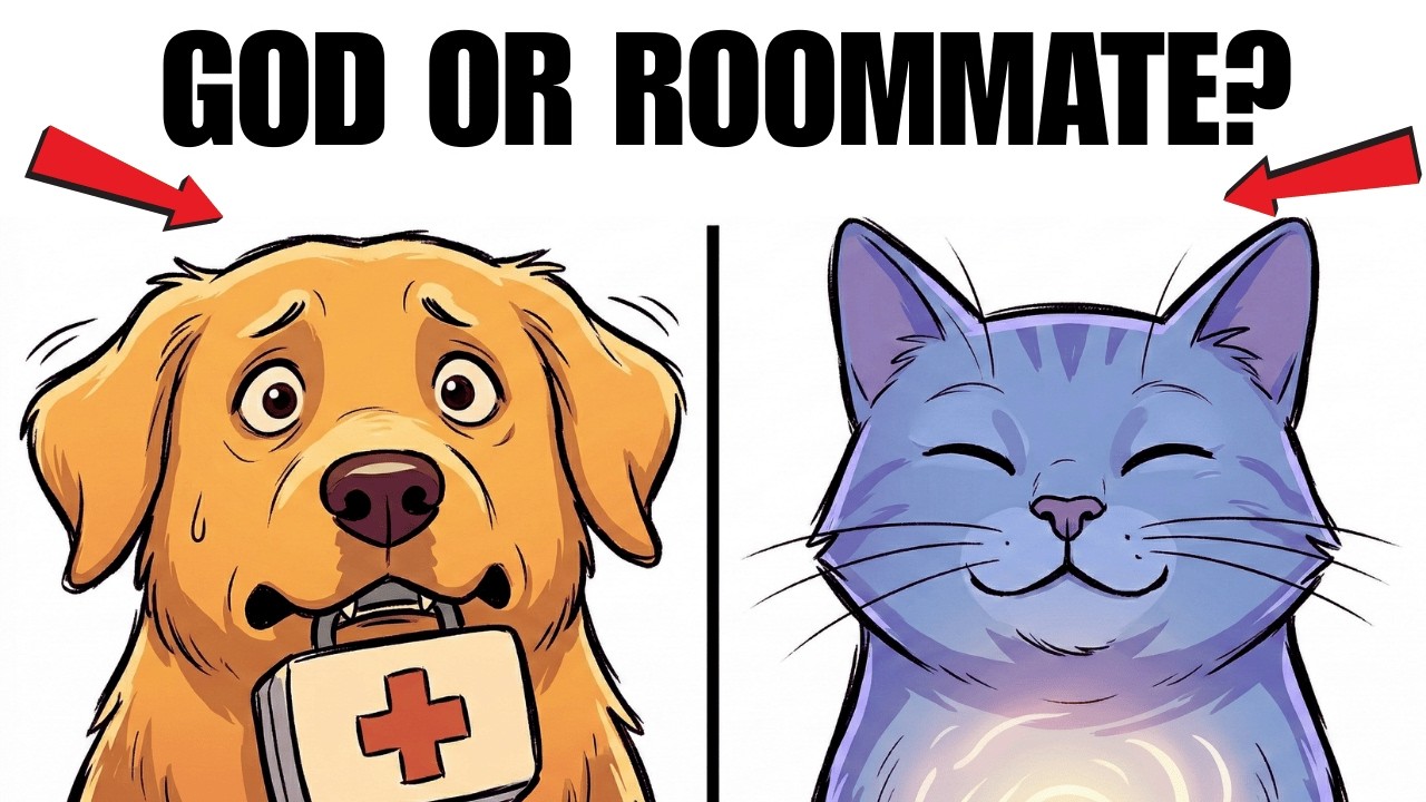 WHAT DO THEY ACTUALLY THINK YOU ARE The God vs | The Big Cat  Canura