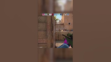 csgo teammates in a nutshell