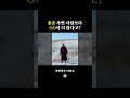 몽골 가면 사람보다 많다는 복실복실 동물들🐮🐏