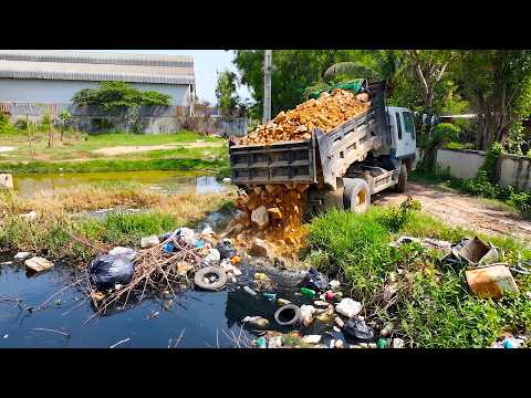 Fantastic Starting New PROJEC! Landfill on Flooded Area By 5Ton Truck Unload & Dozer D20A Pushing