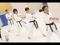 Seipai Kyokushin kata+bunkai