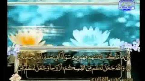سورة النحل كاملة الشيخ عمر القزابري