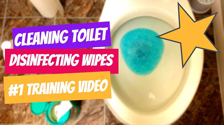 Can you use disinfecting wipes on toilet seat? (2023)