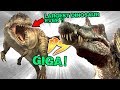 Spinosaurus VS Giganotosaurus [Who Would Win?]